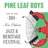 Pine Leaf Boys  - Live at 2024 New Orleans Jazz & Heritage Festival